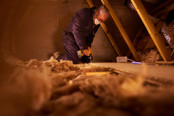 Types of Insulation We Offer in Ivanhoe, TX